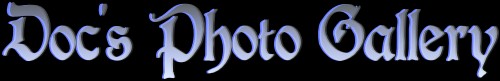photo gallery logo